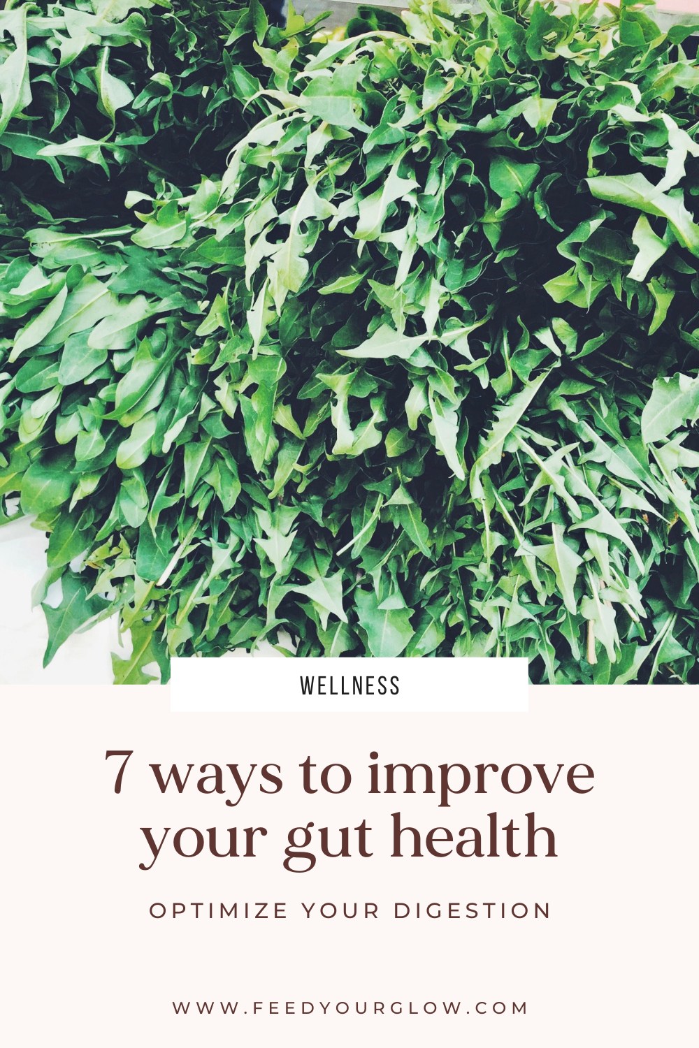7 Ways to Improve Your Gut Health | Feed Your Glow