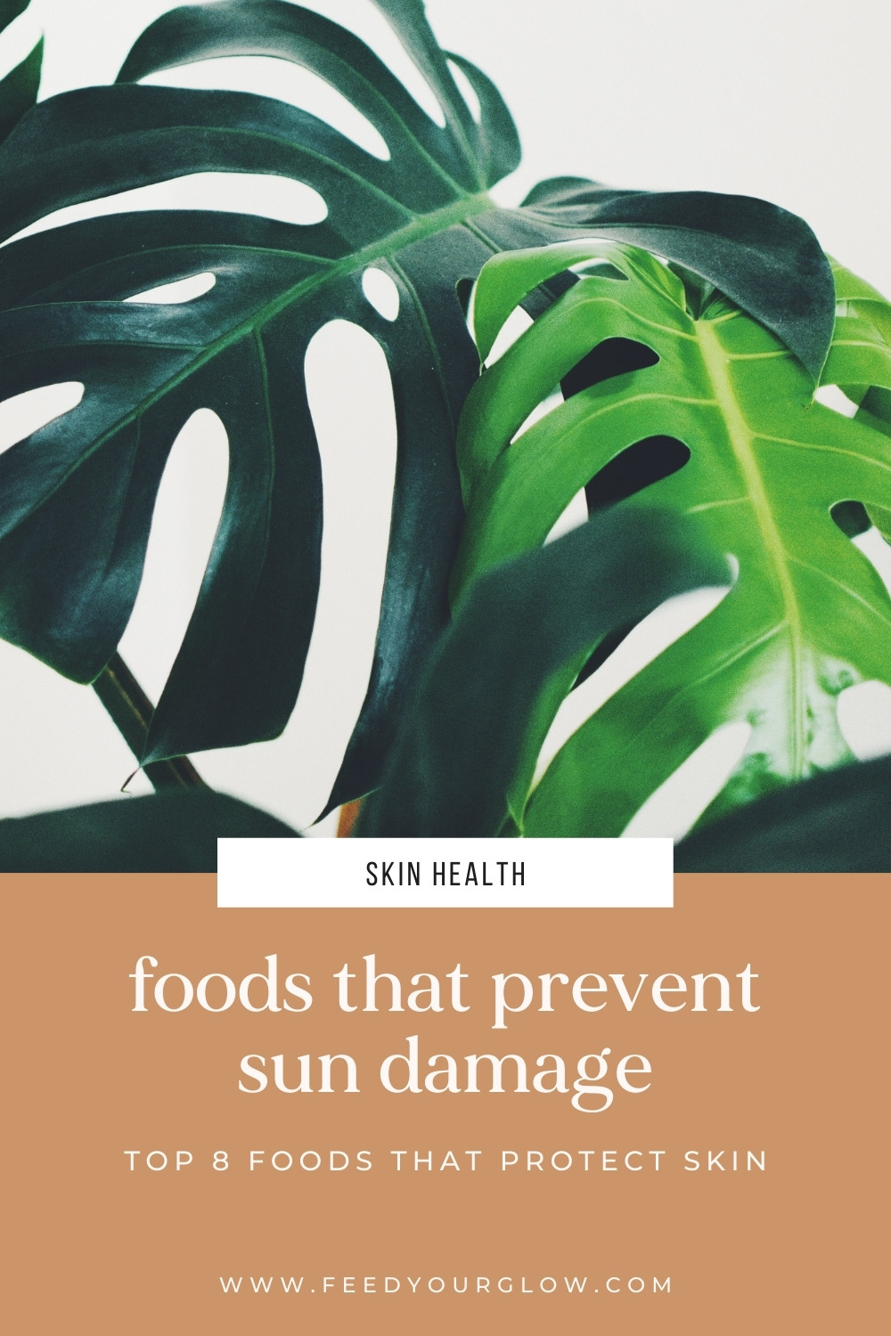 Foods That Prevent Sun Damage | Feed Your Glow