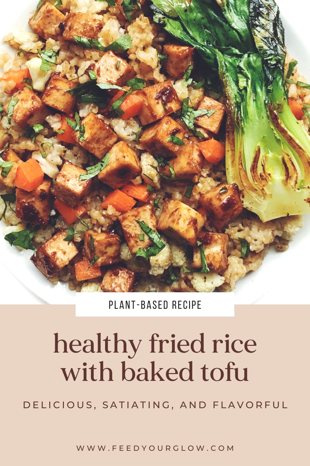 Healthy Fried Rice with Crispy Baked Tofu | Feed Your Glow